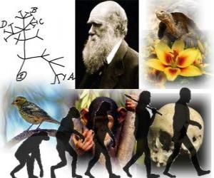 yapboz Darwin Günü, Charles Darwin 12 Şubat 1809 tarihinde doğdu. Darwin ağacı, onun evrim teorisinin ilk şeması
